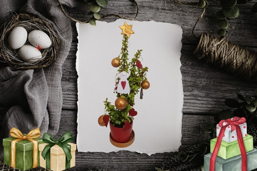 Create Your Own Spekboom Christmas Tree!